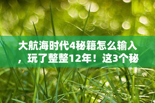 大航海时代4秘籍怎么输入,玩了整整12年!这3个秘籍选哪个?老船长纠结到失眠! 大航海时代4秘籍怎么输入,玩了整整12年!这3个秘籍选哪个?老船长纠结到失眠!