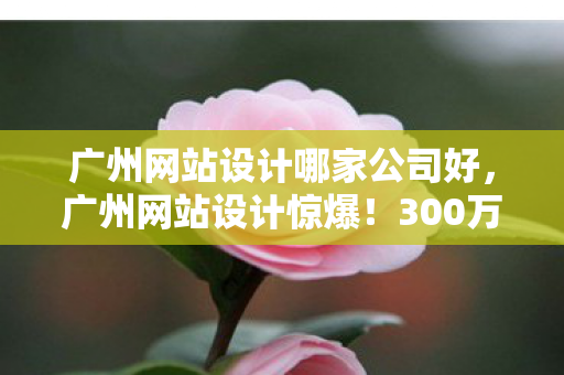 广州网站设计哪家公司好，广州网站设计惊爆！300万预算背后竟藏这隐情，看完吓一跳！