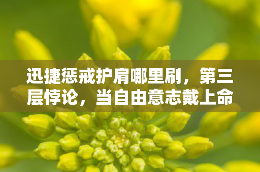迅捷惩戒护肩哪里刷，第三层悖论，当自由意志戴上命运镣铐，灵魂震颤于选择之渊