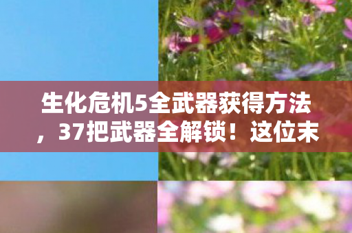 生化危机5全武器获得方法,37把武器全解锁!这位末世拾荒者背后藏着多少心酸故事? 生化危机5全武器获得方法,37把武器全解锁!这位末世拾荒者背后藏着多少心酸故事?