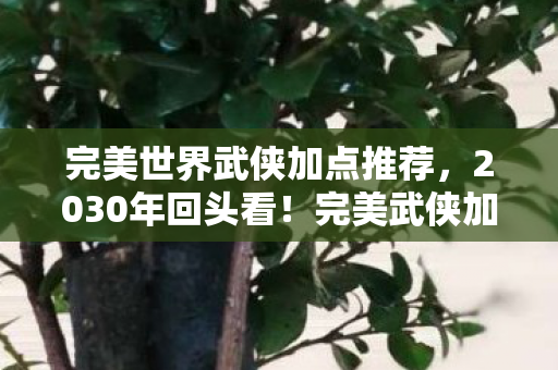 完美世界武侠加点推荐,2030年回头看!完美武侠加点隐藏的终极秘密,颠覆你的认知! 完美世界武侠加点推荐,2030年回头看!完美武侠加点隐藏的终极秘密,颠覆你的认知!