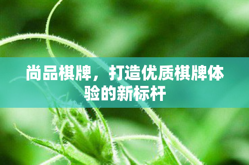 尚品棋牌,打造优质棋牌体验的新标杆 尚品棋牌,打造优质棋牌体验的新标杆