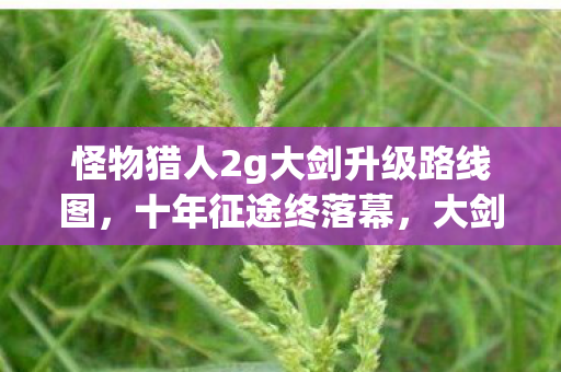 怪物猎人2g大剑升级路线图，十年征途终落幕，大剑谜影藏何秘？泪目见证服务器熄灯