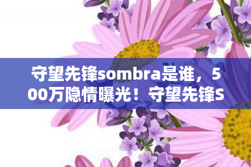 守望先锋sombra是谁，500万隐情曝光！守望先锋Sombra项目惊天内幕，吓一跳的烂尾真相
