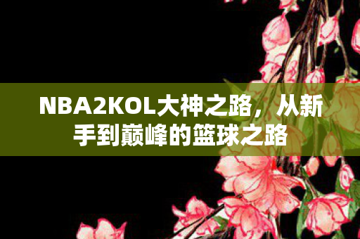 NBA2KOL大神之路,从新手到巅峰的篮球之路 NBA2KOL大神之路,从新手到巅峰的篮球之路