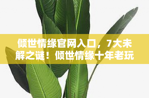 倾世情缘官网入口,7大未解之谜!倾世情缘十年老玩家亲历,从狂热到心死的真相 倾世情缘官网入口,7大未解之谜!倾世情缘十年老玩家亲历,从狂热到心死的真相