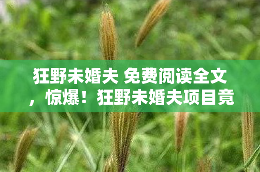 狂野未婚夫 免费阅读全文，惊爆！狂野未婚夫项目竟砍掉5000万玩法，背后隐情让人吓一跳！
