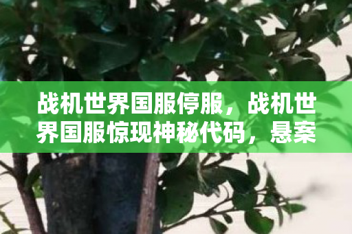 战机世界国服停服,战机世界国服惊现神秘代码,悬案背后竟藏毛骨悚然真相! 战机世界国服停服,战机世界国服惊现神秘代码,悬案背后竟藏毛骨悚然真相!