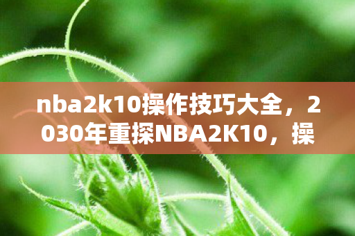 nba2k10操作技巧大全,2030年重探NBA2K10,操作玄机里藏着多少沉默的青春密码? nba2k10操作技巧大全,2030年重探NBA2K10,操作玄机里藏着多少沉默的青春密码?