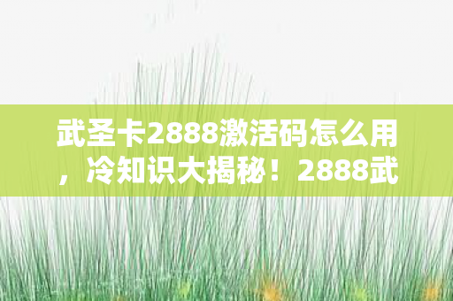 武圣卡2888激活码怎么用，冷知识大揭秘！2888武圣卡无限激活颠覆认知，真相让人目瞪口呆！