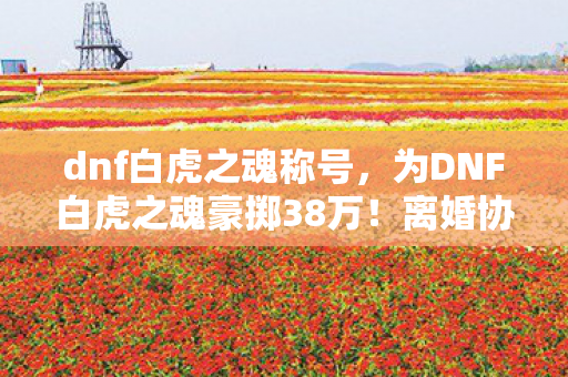 dnf白虎之魂称号,为DNF白虎之魂豪掷38万!离婚协议藏隐情,妻子举动吓我一跳! dnf白虎之魂称号,为DNF白虎之魂豪掷38万!离婚协议藏隐情,妻子举动吓我一跳!