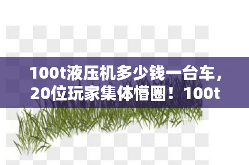 100t液压机多少钱一台车，20位玩家集体懵圈！100t液压机价格疑云，这数字谁看了不绷？