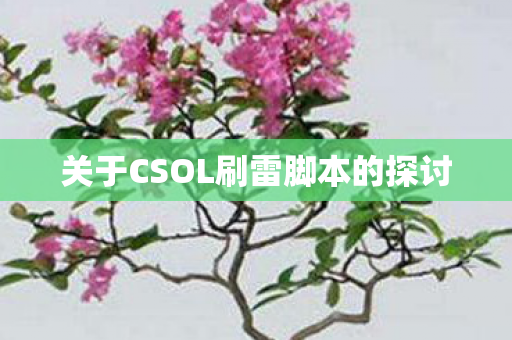 关于CSOL刷雷脚本的探讨 关于CSOL刷雷脚本的探讨