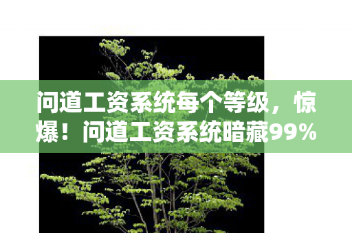 问道工资系统每个等级,惊爆!问道工资系统暗藏99%人不知的暴富密码,你竟还在傻傻打工? 问道工资系统每个等级,惊爆!问道工资系统暗藏99%人不知的暴富密码,你竟还在傻傻打工?