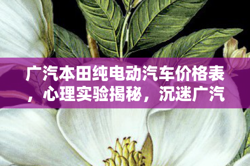 广汽本田纯电动汽车价格表,心理实验揭秘,沉迷广汽本田纯电动车价格游戏,细思极恐的自我麻醉 广汽本田纯电动汽车价格表,心理实验揭秘,沉迷广汽本田纯电动车价格游戏,细思极恐的自我麻醉