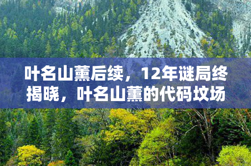 叶名山薰后续，12年谜局终揭晓，叶名山薰的代码坟场，为何让百万玩家泪目？