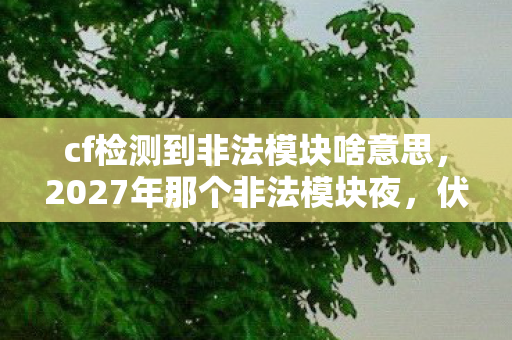cf检测到非法模块啥意思,2027年那个非法模块夜,伏笔成真时我鼻子一酸 cf检测到非法模块啥意思,2027年那个非法模块夜,伏笔成真时我鼻子一酸