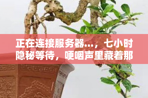 正在连接服务器...，七小时隐秘等待，哽咽声里藏着那些年服务器前的青春