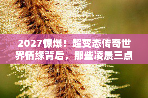 2027惊爆!超变态传奇世界情缘背后,那些凌晨三点的鼻子一酸 2027惊爆!超变态传奇世界情缘背后,那些凌晨三点的鼻子一酸