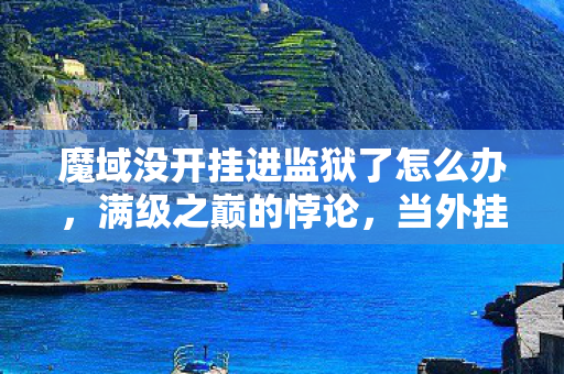 魔域没开挂进监狱了怎么办，满级之巅的悖论，当外挂成为人生作弊器，灵魂却在深渊震颤