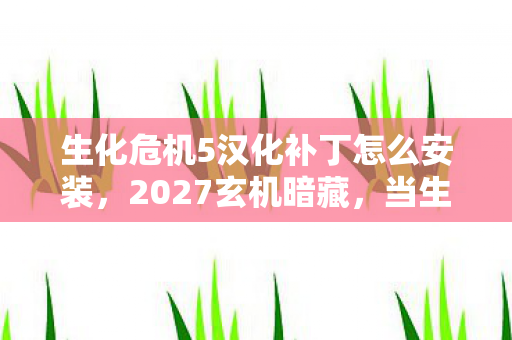 生化危机5汉化补丁怎么安装,2027玄机暗藏,当生化危机5汉化补丁撕开沉默的真相 生化危机5汉化补丁怎么安装,2027玄机暗藏,当生化危机5汉化补丁撕开沉默的真相