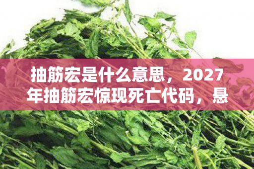 抽筋宏是什么意思,2027年抽筋宏惊现死亡代码,悬案背后暗藏毛骨悚然真相 抽筋宏是什么意思,2027年抽筋宏惊现死亡代码,悬案背后暗藏毛骨悚然真相