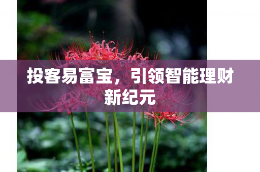 投客易富宝,引领智能理财新纪元 投客易富宝,引领智能理财新纪元