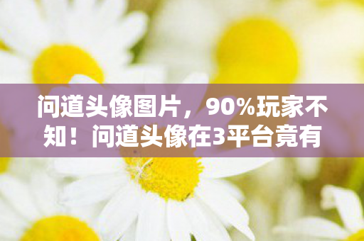 问道头像图片,90%玩家不知!问道头像在3平台竟有10倍体验差?真相扎心了 问道头像图片,90%玩家不知!问道头像在3平台竟有10倍体验差?真相扎心了