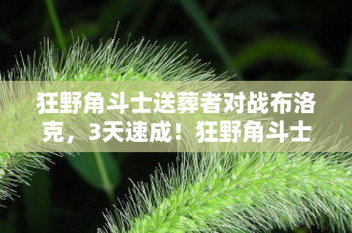 狂野角斗士送葬者对战布洛克,3天速成!狂野角斗士送葬者隐藏机制大公开,99%玩家不知的逆天操作 狂野角斗士送葬者对战布洛克,3天速成!狂野角斗士送葬者隐藏机制大公开,99%玩家不知的逆天操作