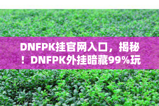 DNFPK挂官网入口,揭秘!DNFPK外挂暗藏99%玩家不知的3大数值暴走机制 DNFPK挂官网入口,揭秘!DNFPK外挂暗藏99%玩家不知的3大数值暴走机制