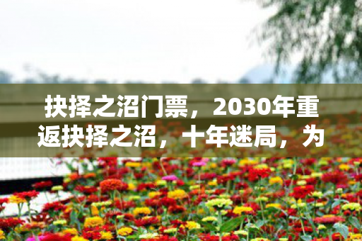 抉择之沼门票,2030年重返抉择之沼,十年迷局,为何老玩家至今不敢直视深渊? 抉择之沼门票,2030年重返抉择之沼,十年迷局,为何老玩家至今不敢直视深渊?