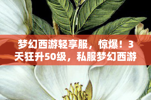 梦幻西游轻享服，惊爆！3天狂升50级，私服梦幻西游的另类快感揭秘