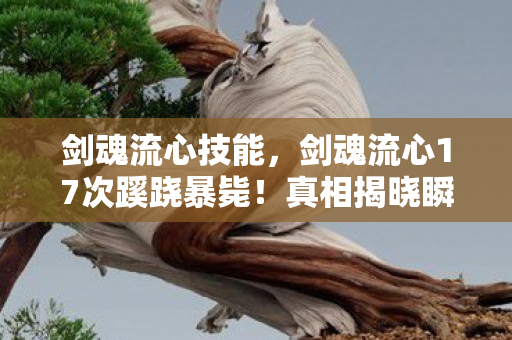 剑魂流心技能,剑魂流心17次蹊跷暴毙!真相揭晓瞬间,玩家后背发凉 剑魂流心技能,剑魂流心17次蹊跷暴毙!真相揭晓瞬间,玩家后背发凉
