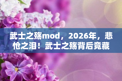 武士之殇mod,2026年,悲怆之泪!武士之殇背后竟藏着惊天秘密? 武士之殇mod,2026年,悲怆之泪!武士之殇背后竟藏着惊天秘密?