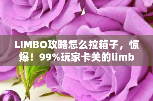 LIMBO攻略怎么拉箱子,惊爆!99%玩家卡关的limbo隐藏关卡,通关秘籍竟藏在这? LIMBO攻略怎么拉箱子,惊爆!99%玩家卡关的limbo隐藏关卡,通关秘籍竟藏在这?