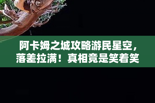 阿卡姆之城攻略游民星空,落差拉满!真相竟是笑着笑着哭了,阿卡姆之城的退坑骗局 阿卡姆之城攻略游民星空,落差拉满!真相竟是笑着笑着哭了,阿卡姆之城的退坑骗局
