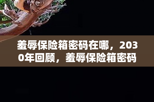 羞辱保险箱密码在哪,2030年回顾,羞辱保险箱密码的十年谜团,真相竟如此震撼! 羞辱保险箱密码在哪,2030年回顾,羞辱保险箱密码的十年谜团,真相竟如此震撼!