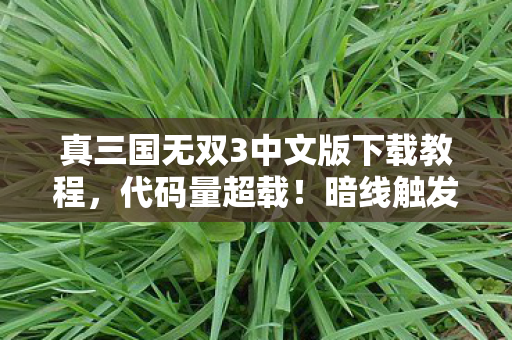真三国无双3中文版下载教程，代码量超载！暗线触发数据熵增危机，这操作让人头皮发麻
