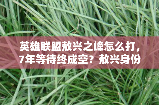英雄联盟敖兴之峰怎么打,7年等待终成空?敖兴身份之谜背后,百万玩家心酸泪 英雄联盟敖兴之峰怎么打,7年等待终成空?敖兴身份之谜背后,百万玩家心酸泪