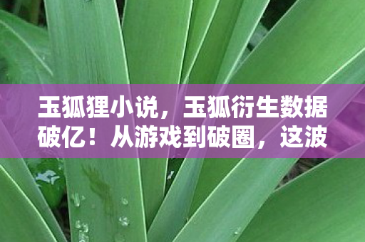 玉狐狸小说，玉狐衍生数据破亿！从游戏到破圈，这波跨界联动意想不到！