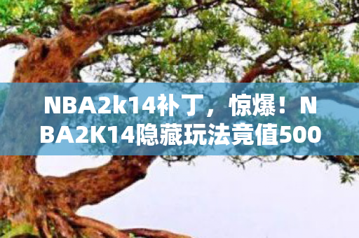 NBA2k14补丁,惊爆!NBA2K14隐藏玩法竟值500万?背后隐情让人吓一跳! NBA2k14补丁,惊爆!NBA2K14隐藏玩法竟值500万?背后隐情让人吓一跳!
