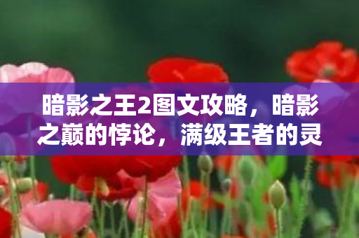 暗影之王2图文攻略，暗影之巅的悖论，满级王者的灵魂，在现实深渊震颤