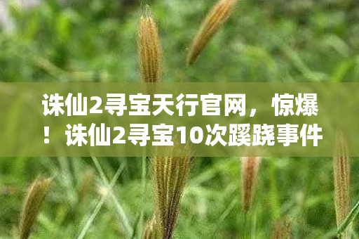 诛仙2寻宝天行官网，惊爆！诛仙2寻宝10次蹊跷事件，真相揭晓后背发凉！