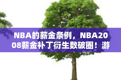 NBA的薪金条例，NBA2008薪金补丁衍生数破圈！游戏元素竟爬进你妈手机壳？