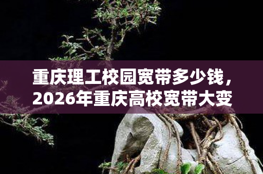 重庆理工校园宽带多少钱，2026年重庆高校宽带大变天！网速狂飙，背后竟藏惊人秘密？