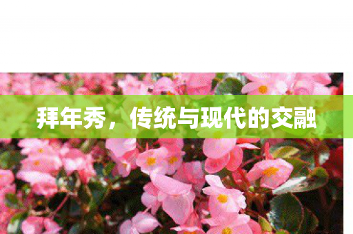 拜年秀，传统与现代的交融