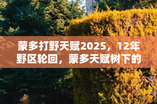 蒙多打野天赋2025，12年野区轮回，蒙多天赋树下的血色谜题，为何让百万玩家泪目？