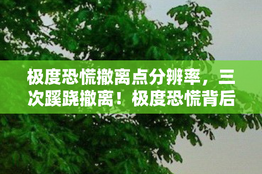 极度恐慌撤离点分辨率,三次蹊跷撤离!极度恐慌背后发凉的真相竟藏在这 极度恐慌撤离点分辨率,三次蹊跷撤离!极度恐慌背后发凉的真相竟藏在这