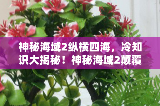神秘海域2纵横四海，冷知识大揭秘！神秘海域2颠覆设计，目瞪口呆的隐藏细节！