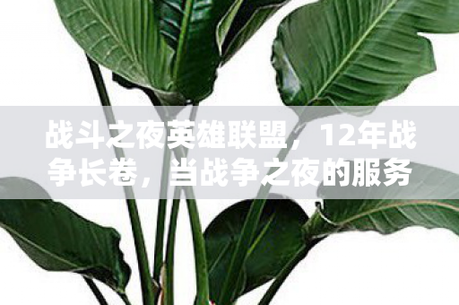 战斗之夜英雄联盟，12年战争长卷，当战争之夜的服务器熄灭时，谁在弹幕里写下再见？泪目